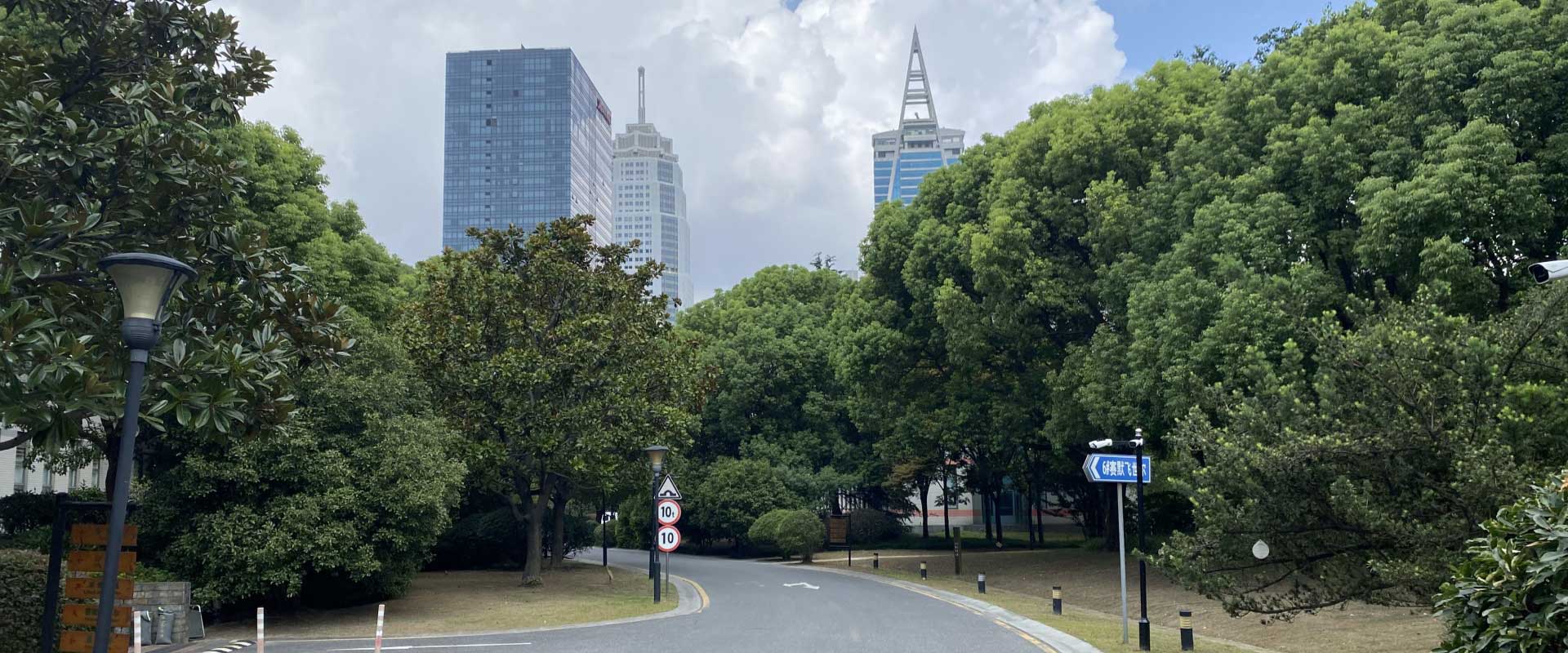 金橋現(xiàn)代產(chǎn)業(yè)服務(wù)園區(qū)_Office park_金橋軟件園道路