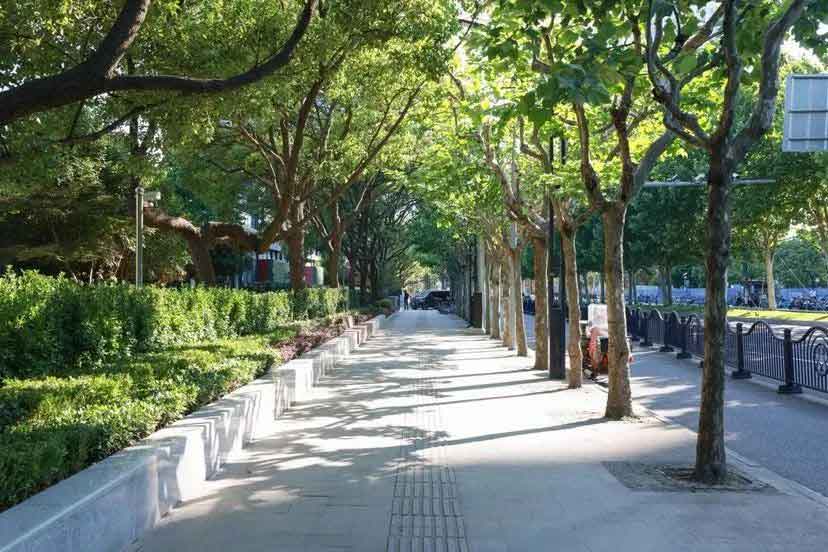 金橋Office Park總部園完成景觀煥新 打造無界開放城市空間